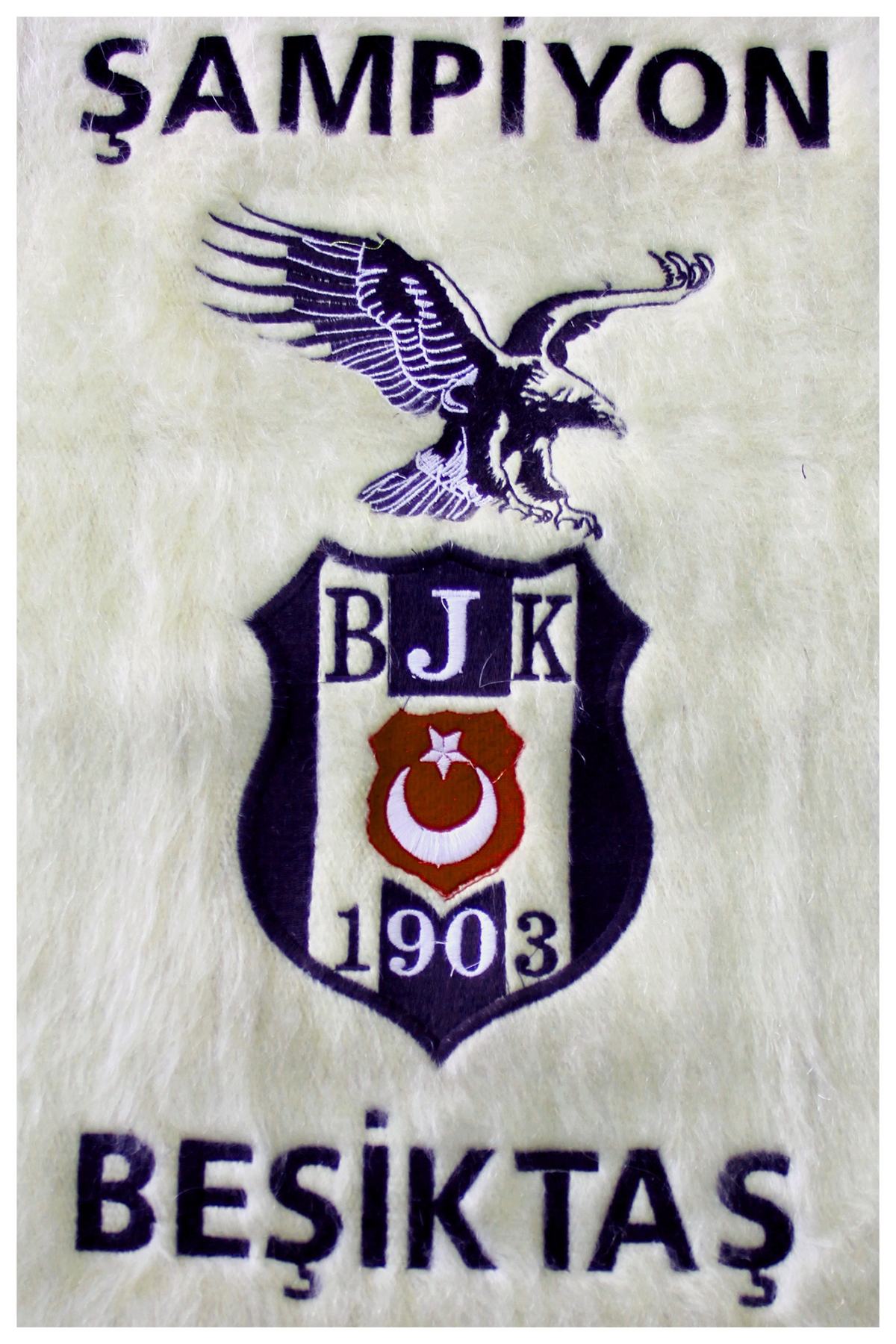 Beşiktaş Takım Logosu