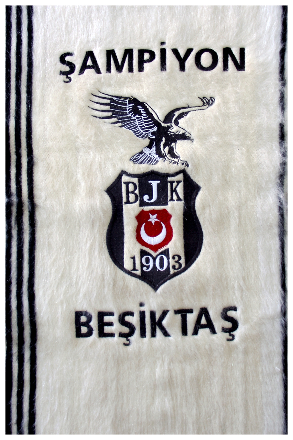 Beşiktaş Takım Logosu