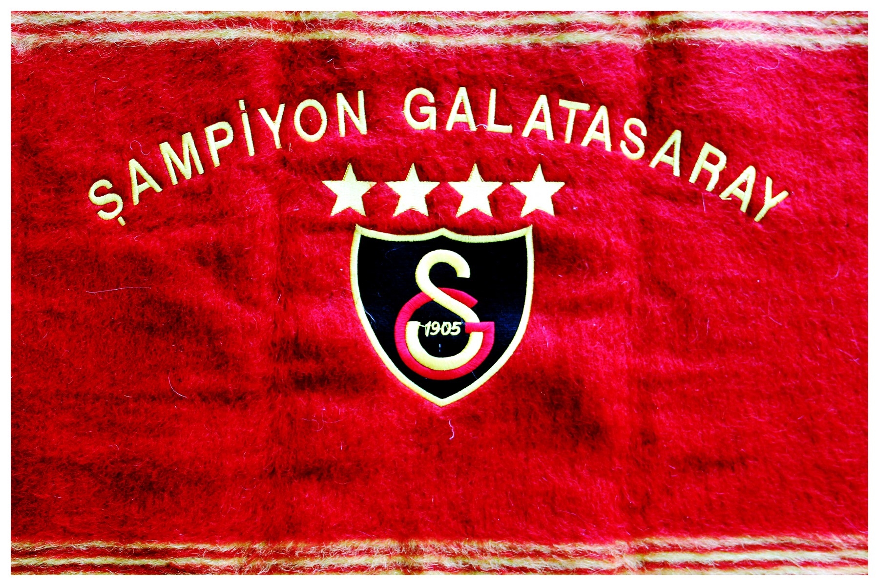Galatasaray Takım Logosu